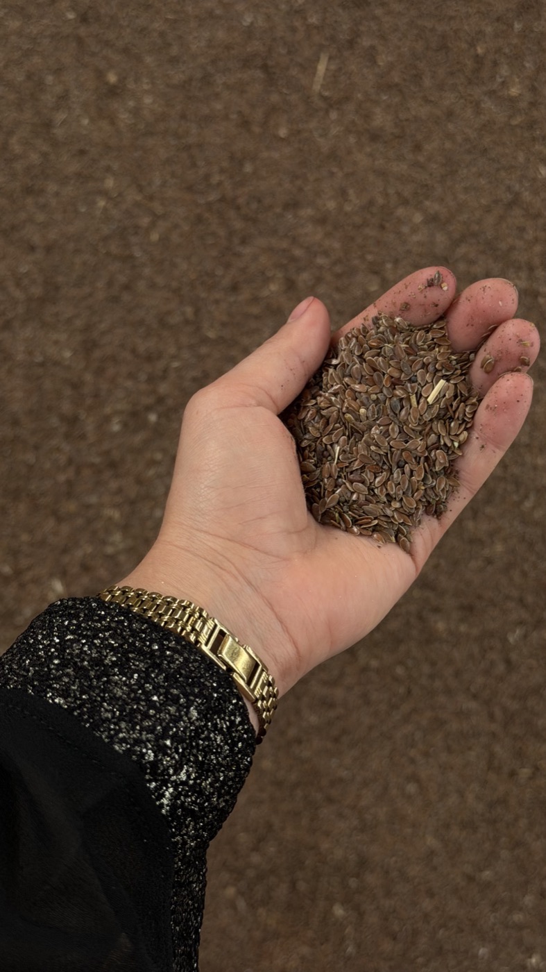 Flax lot inspection