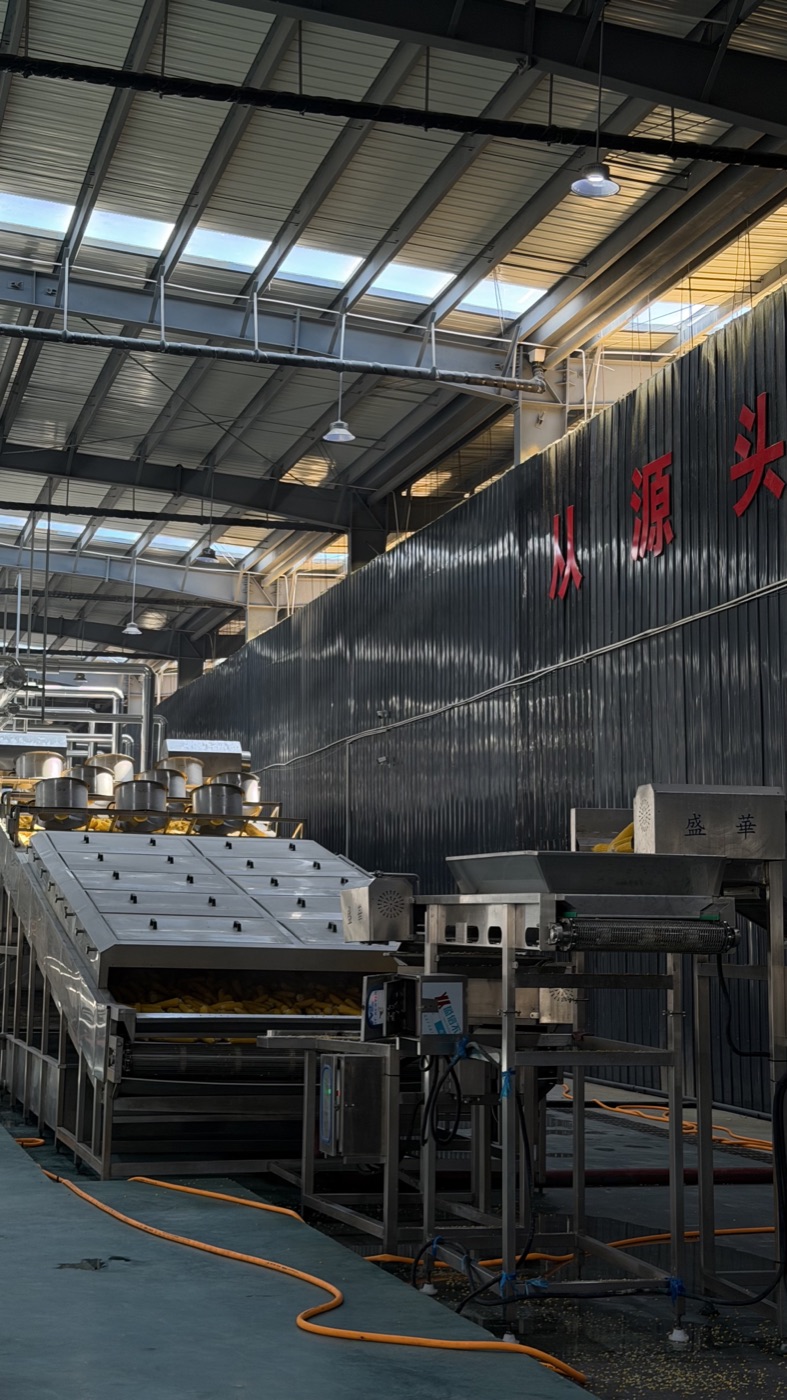 Processing line